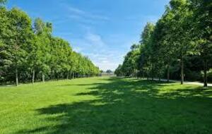 Championnat d‘Ile-de-France de cross-country (FFA)